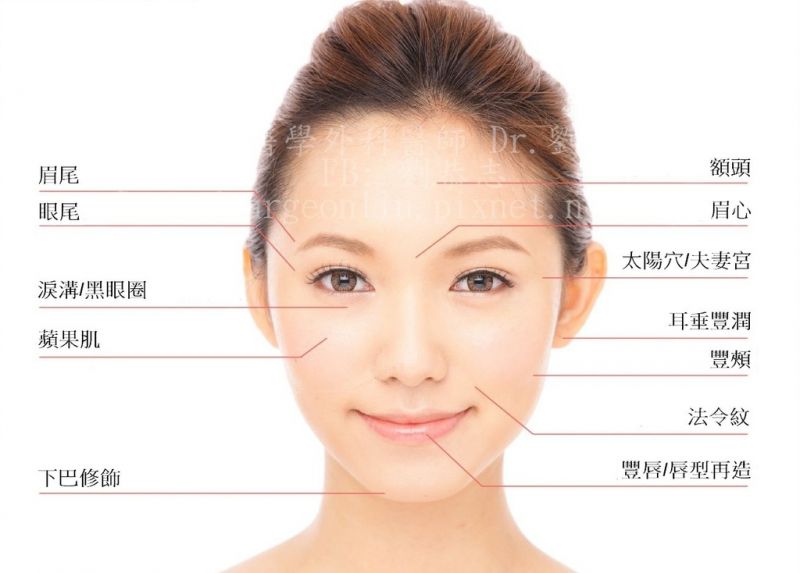 脸部衰老的关键是什么? 自体脂肪丰全脸的主要关键位置?