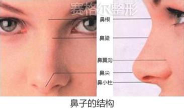 韩式隆鼻手术与其它隆鼻手术有什么区别