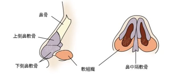 隆鼻的流程是怎样的？传统韩式隆鼻和新版韩式隆鼻有什么优缺点？