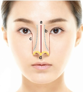 鼻整形奥秘（二）：鼻子的黄金角度是什么?